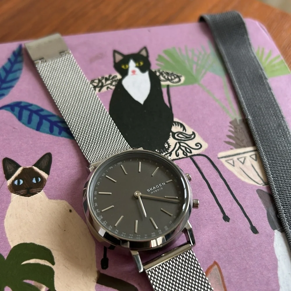 Skagen Smart Watch Silver Mesh Strap Watch